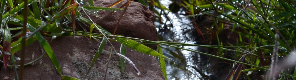 Rückzugsort Hacienda Huata